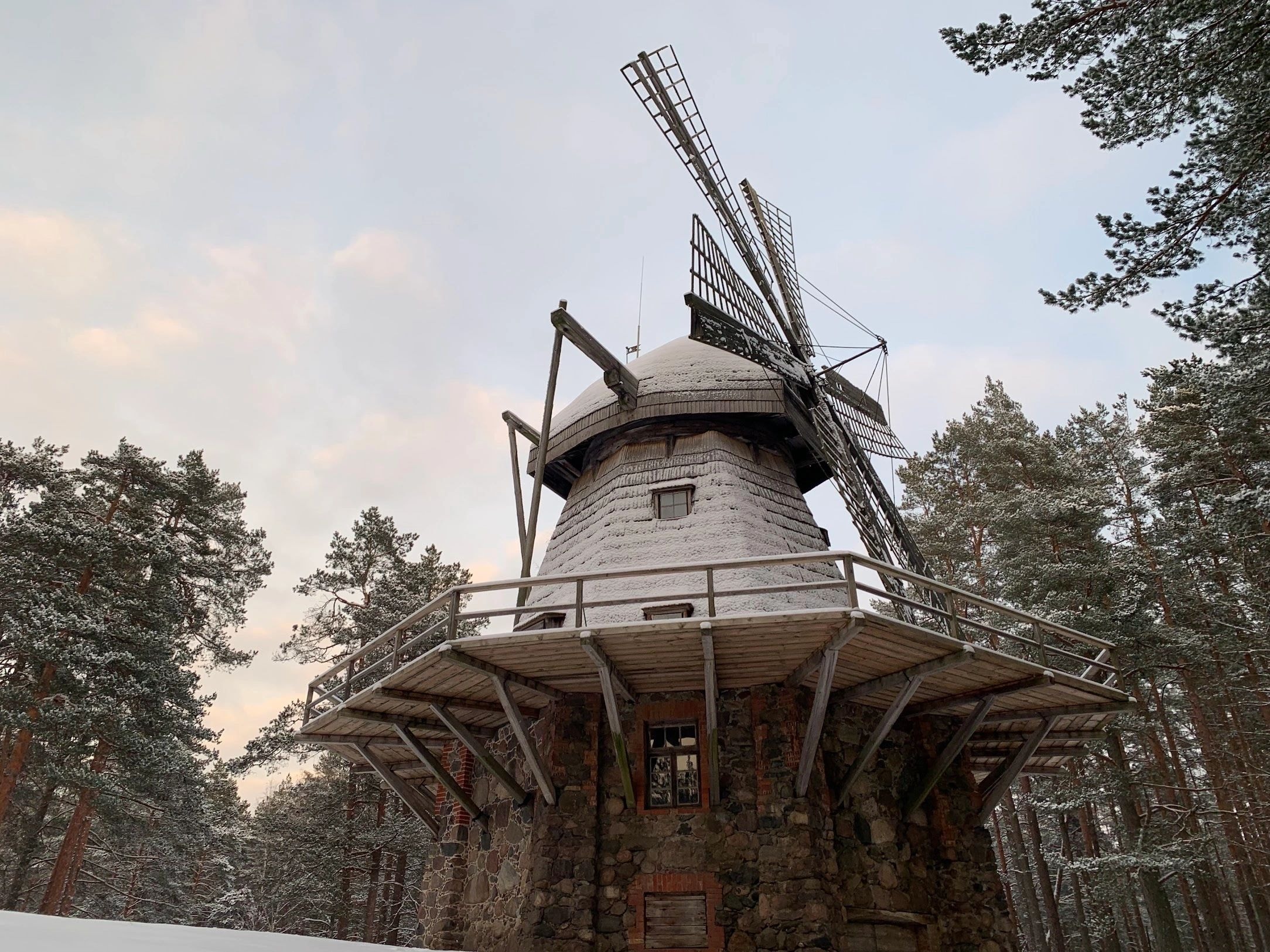 Historic windmill surrounded by forest
